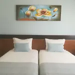 Casa Luar 3*